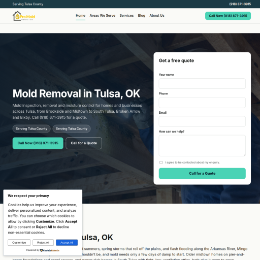 Pro Mold Removal Tulsa