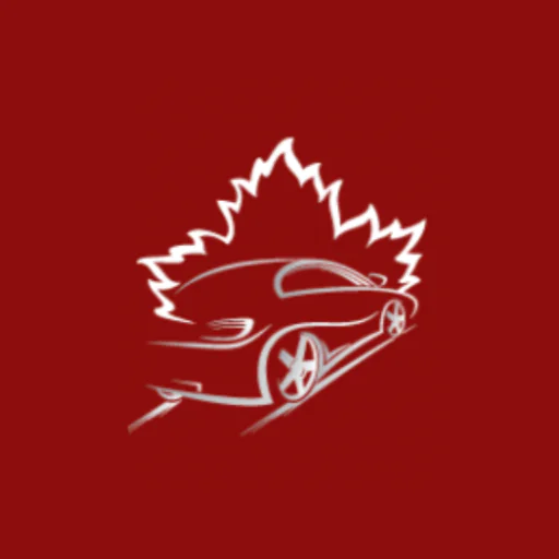 Auto Dentist