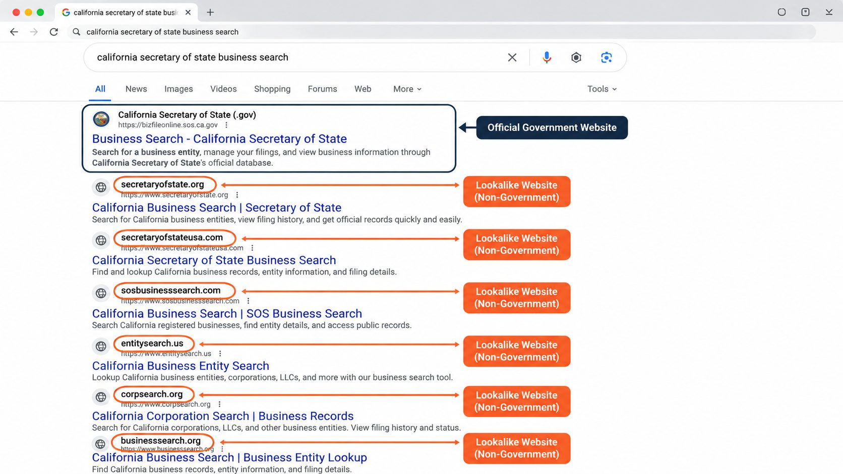 Search results for a state business registry showing several non-government lookalike sites